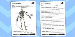 Manual muscle testing scoring sheet (45kb) Skeleton Worksheet Scientific Names