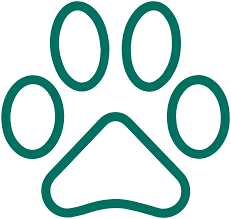 If you pay off your purchase within your promotional period. Patient Financing Carecredit Provider Center