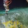 Chemical Oceanography from www.ocean.washington.edu