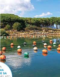 Tortolì) sardinya'nın nuoro ilinde bir komün ve küçük kasabadır. La Sardegna E Sempre Un Infanzia Pressreader