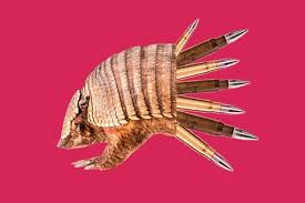 What'S An Armadillo? Is Its Skin Bulletproof? - Quora