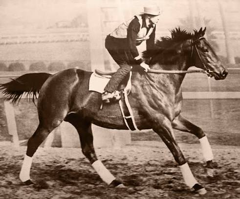 Seabiscuit - Wikipedia