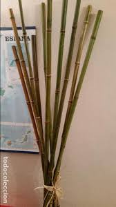 Sofás, colchones, decoración, electrodomésticos y muebles para tu dormitorio, salón, baño y cocina. Decoracion Canas De Bambu Conjunto Lote Rincon Sold Through Direct Sale 62817576