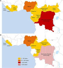 Smallpox (variola virus) and smallpox disease. Frontiers Emergence Of Monkeypox As The Most Important Orthopoxvirus Infection In Humans Public Health