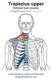 Pin On Trigger Points