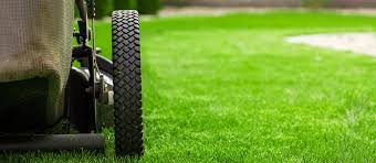 The easy guide to growing healthy, green grass. Want A Greener Lawn Think Sprinkler Repair In Phoenix Az Sprinkler Doctorssprinkler Doctors