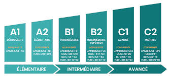 Maybe you would like to learn more about one of these? Les Niveaux De Langue Unisco
