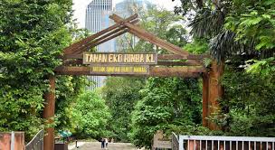 Hai korang semalam kitaorg pergi hutan simpan bukit nenas atau dikenali jugak sebagai kl eco forest.kat sana ada jambatan. Smart Travel Travel Guide Application