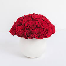 Flowers that last a year nyc. Red Preserved Roses Lasts A Full Year By Ode A La Rose