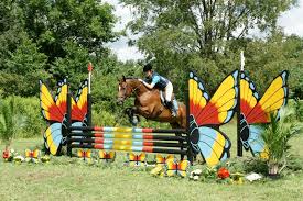 Image result for horse dressed as butterfly