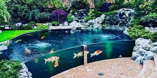 Check spelling or type a new query. Bukan Di Atas Tanah Rumah Ini Mengambang Di Atas Kolam Ikan Loh Diadona Id