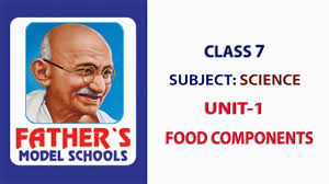 7th Class Science Lesson 1 Food Components Youtube