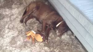 Today we're taking a look at a terrace. Stone Cold Steve Austin Takes Us On Tour Of His Temporary Home Video Blog March 13 2014 Youtube