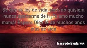 Mi corazón esta triste porque no te tengo aquí conmigo, desearía que el tiempo volviera atrás y darte un gran abrazo, esos que me hacían sentir la persona más adorada del universo. Frases De Cumpleanos Para Una Madre Con Imagenes