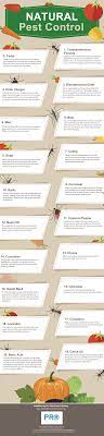 Pests invasions happen but are easily preventable. Top 20 Natural Pest Control Methods Organic Pest Control Infographic