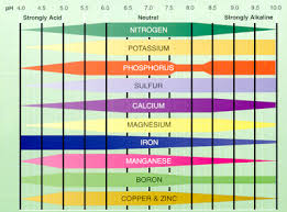 Vegetable Garden Fertilizer Chart Garden Inspiration