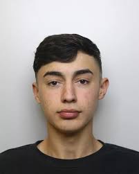 The child abusers, violent thugs and other criminals locked up in Leeds in  July