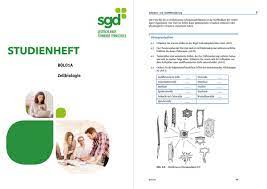 Die fachhochschulreife hast du nach dem erfolgreichen abschluss der fachoberschule, sprich nach dem fachabitur erreicht und berechtigt dich zum besuch einer fachhochschule. Was Ist Ein Fachabitur Alle Wege Zur Fh Reife Fachrichtungen