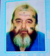 Pete Parsons Performance in Destiny 2 Game