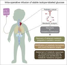 The cancerous cells can invade and destroy surrounding healthy tissue. A Powerful Tool To Study Metabolic Reprogramming In Pediatric Cancers Sciencedirect