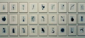 Resultado de imagen de herbarium fontcuberta