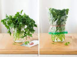 How To Store Fresh Herbs So They Last Longer (Parsley, Cilantro & More!)