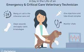 When veterinary assistant salary is in question, the amount of money they earn varies depending on the facilities they work, duties they perform, and the region where the facility is located. Veterinary Assistant Job Description Salary Skills More