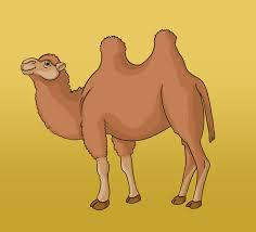 Contrary to popular belief, they're filled with fat, which. Pin On Cartoon Drawings