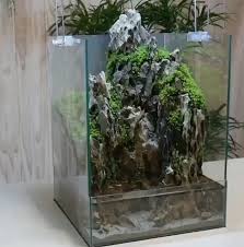 The dude's complete drainage layer waterfall kit. Aquaterrarium Hashtag On Twitter
