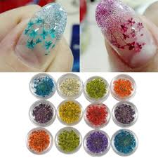 Get 10% off of your 1st order today! Igemy 12 Colors 3d Decoration Real Dry Dried Flower For Uv Gel Acrylic Nail Art Tips Colourful Buy Online In Botswana At Botswana Desertcart Com Productid 50223468