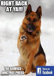 The Americans With Disabilities Act Requires Businesses Government And Many Nonprofit Organizations To Generally Al Dogs German Shepherd Dogs Shepherd Dog