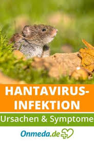 Woman contracted the deadly respiratory disease while cleaning abandoned home infested with rodents. Hantavirus Hautausschlag Hantavirus Ausschlag