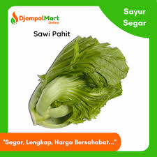 Kumpulan gambar tentang gambar sayur sawi, klik untuk melihat koleksi gambar lain di kibrispdr.org. Harga Sawi Pahit Segar Terbaru Agustus 2021 Biggo Indonesia