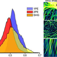 Gases, liquids and solids are all made up of atoms, molecules, and/or ions, but the behaviors of these particles differ in the three phases. Pdf Intensity Weighted Subtraction Microscopy Approach For Image Contrast And Resolution Enhancement