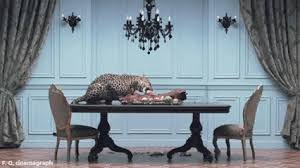 Antique metal kitchen tables expands thesaurus amazingness gif. Https Giphy Com Gifs Liv Moore 10hwxqwgunsco4 2016 08 05t01 35 26 00 00 Weekly 0 8 Https Media1 Giphy Com Media 10hwxqwgunsco4 Giphy Gif Liv Moore Gif Https Giphy Com Gifs Keyboard 10st6zduhxscim 2016 09 22t14 54 49 00 00 Weekly