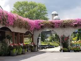Gorgeous Garden Center In Orrstown Pa Lurgan Greenhouses Gorgeous Gardens Garden Center Garden