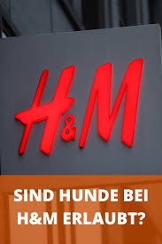 Durfen Bei H M Hunde Rein Wann Sind Vierbeiner Im Geschaft Erlaubt Hunde Bestes Hundefutter Hundeernahrung