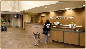 Appleton Veterinary Referrals Emergency Vet Animal Hospital Veterinary