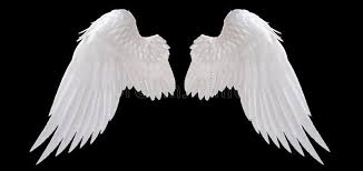 Black And White Wings Angel White Angel Wing Isolated On Black Sponsored Angel White Wing Black Isolated Ad White Angel Wings Angel Wings White Angel