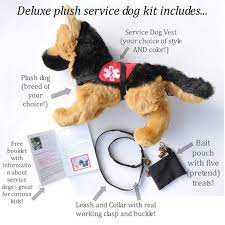 Pin On Service Dog