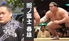 Wrestling for isegahama stable, he entered professional sumo in january 2011 and took the second division jūryō championship in his debut as a sekitori in september 2013. æ€ªç‰© å…ƒå¤§é–¢ç…§ãƒŽå¯Œå£«ã®å¾©æ´»ã¯ã„ã¤ã‹ ç›¸æ'²ãƒ•ã‚¡ãƒ³ãƒ–ãƒ­ã‚°