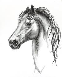 Original Horse Charcoal Drawing Etsy Charcoal Drawing Animals Animal Drawings Sketches Horse Drawings