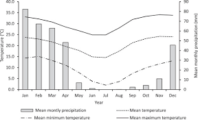 Image result for Agelanthus zizyphifolius