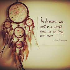 Pin By Kelly Cee On W O R D S Dream Catcher Quotes Dumbledore Quotes Dream Quotes