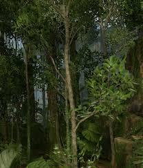 The rainforest is the perfect habitat for these plants to grow, they can be widely found all around the forest. Trees Official Green Hell Wiki
