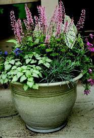 Plant a swath of these perennial flowers for a memorable display year after year. Anything Lovely Of Good Report Or Praiseworthy Disclaimer All Images Are Copyrighted To Their R Container Gardening Garden Containers Container Plants