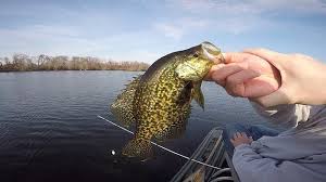 The issue of permits that are required for jones beach is driving me nuts because nobody can give me clear answer. Check Out These Long Island Spots For A Day Of Fishing Longisland Com