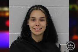 Carroll County Crime