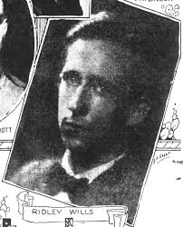 William Ridley Wills