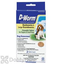 I laughed when i read at the bottom of the bottle that the worming medicine was pleasant tasting. D Worm Dog Dewormer Chewable Tablets For Puppies And Small Dogs